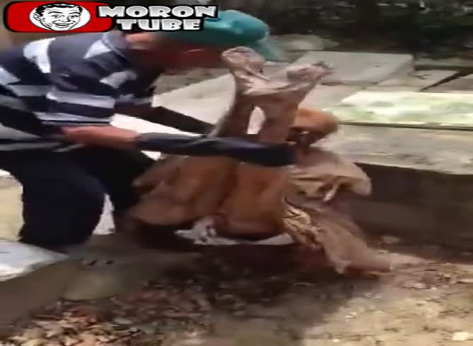 Video :An amazing method of burying a deceased person (publicly disclosed)